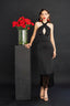 Vestido Chicuelo