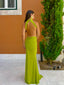 Vestido Carol